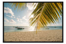 Gerahmter Kunstdruck Palmen am Strand, Mauritius