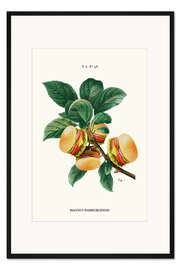 Gerahmter Kunstdruck Burger-Pflanze - Jonas Loose