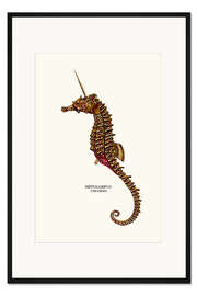 Gerahmter Kunstdruck See-Einhorn