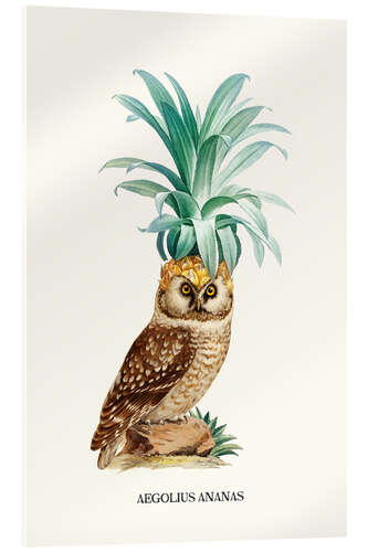 Cuadro de metacrilato Pineappowl II