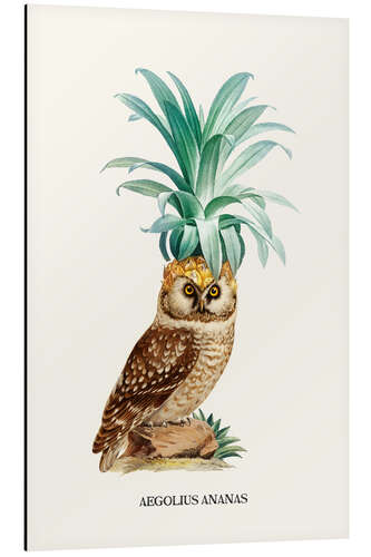 Aluminium print Pineappowl II