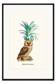 Gerahmter Kunstdruck Ananeule II