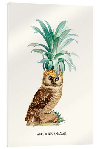 Gallery print Pineappowl II