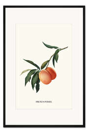 Gerahmter Kunstdruck Wie ein Pfirsisch