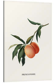 Magnettafel Wie ein Pfirsisch