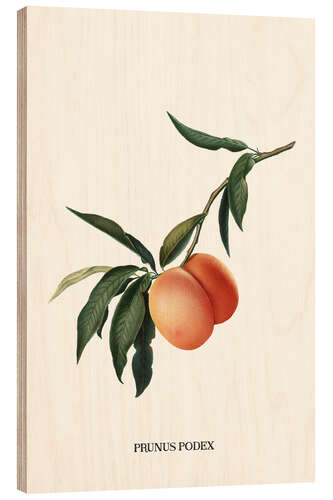 Wood print Peachy