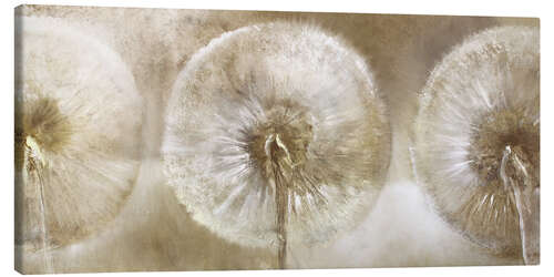 Canvas print Three dandelions