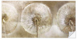 Wall sticker Three dandelions