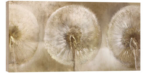 Wood print Three dandelions