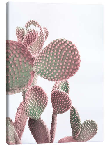 Canvastavla Pink Cactus on White