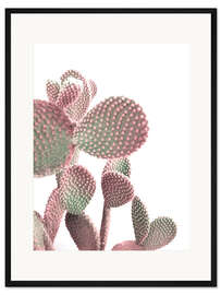Gerahmter Kunstdruck Rosa Kaktus auf Weiß