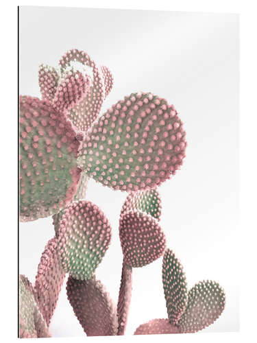 Gallery print Pink Cactus on White