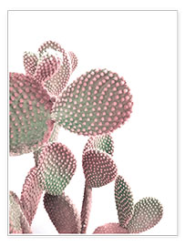 Poster Rosa Kaktus auf Weiß