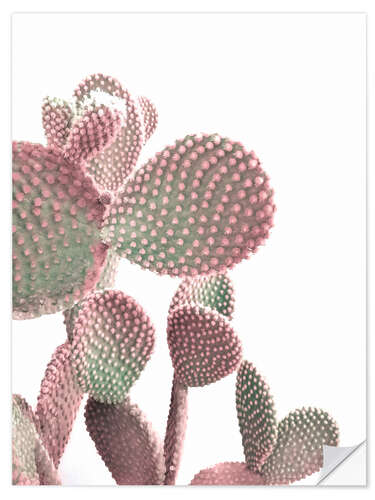 Selvklebende plakat Pink Cactus on White