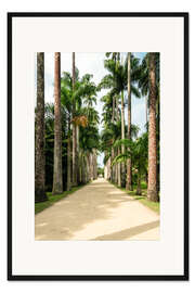 Gerahmter Kunstdruck Palmen Allee in Rio de Janeiro