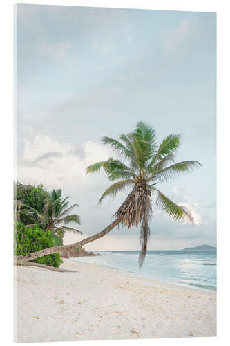 Acrylglasbild Einsame Palme am Strand La Digue Seychellen