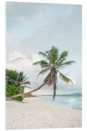 Akrylbilde Lonely palm tree on La Digue beach Seychelles