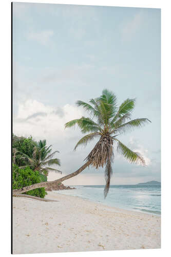 Aluminium print Lonely palm tree on La Digue beach Seychelles