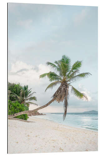 Tableau en plexi-alu Palmier solitaire sur la plage de La Digue, Seychelles