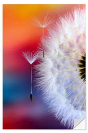 Wall sticker Dandelion umbrella