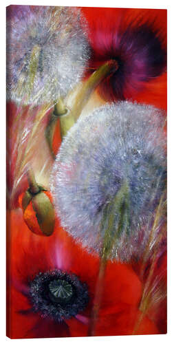 Canvas print Poppies and dandelions IV