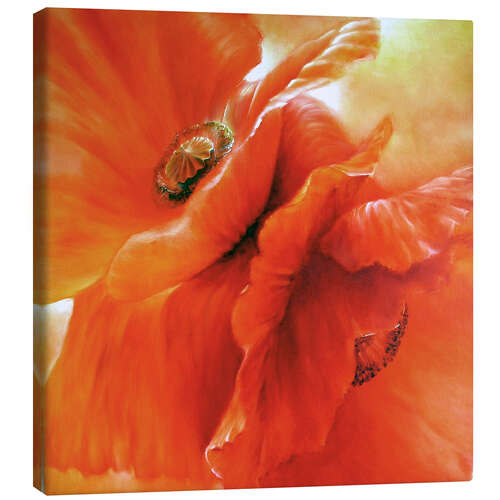 Canvas print Rotate poppy