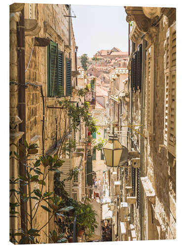 Canvas-taulu Streets of Dubrovnik