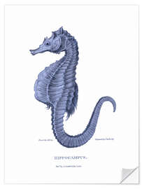 Wall sticker Hippocampus (Marine seahorse)