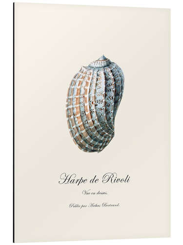 Aluminium print Harpe de Rivoli, shell