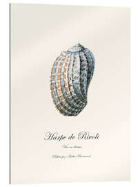 Galleriprint Harpe de Rivoli, shell