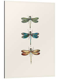 Magnettafel Vintage-Libellen