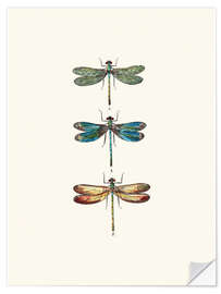 Wall sticker Vintage dragonflies