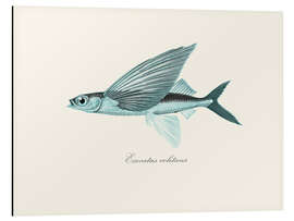 Magnettafel Fliegender Fisch