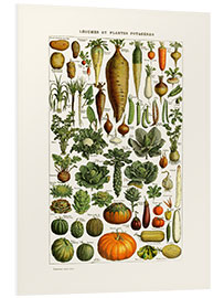 Bilde på skumplate  Vegetables vintage (French) - Patruschka