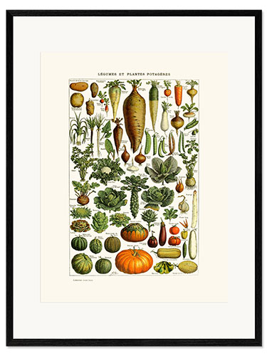 Impression artistique encadrée Assiette de légumes anciens