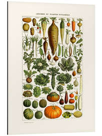 Magnettafel Gemüse Vintage (französisch)