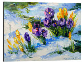 Tableau en aluminium Crocus