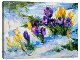 Canvas print Crocus