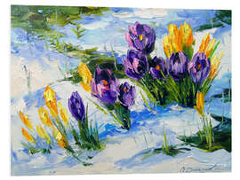 Foam board print Crocus