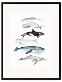 Framed art print Sea Life   Whales