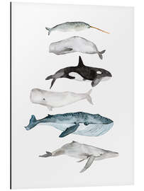 Magnettafel Leben im Meer, Wale