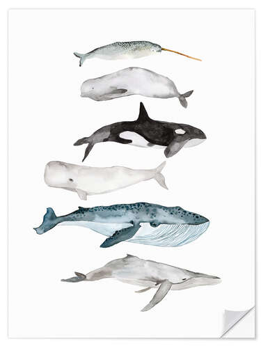 Sisustustarra Sea Life   Whales