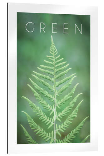 Gallery print Green 2