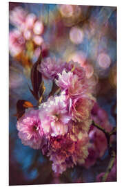 Foam board print Japanese cherry blossom