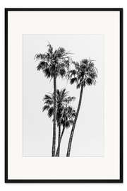 Gerahmter Kunstdruck Palmenidyll