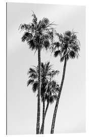 Gallery print Palm idyll