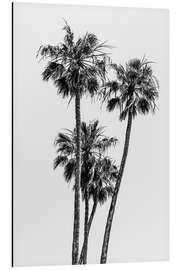 Magnettafel Palmenidyll