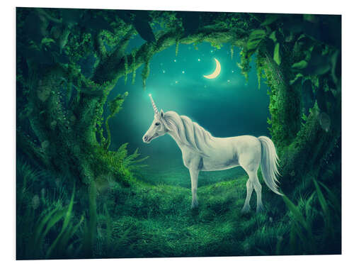 Foam board print White unicorn in the forest