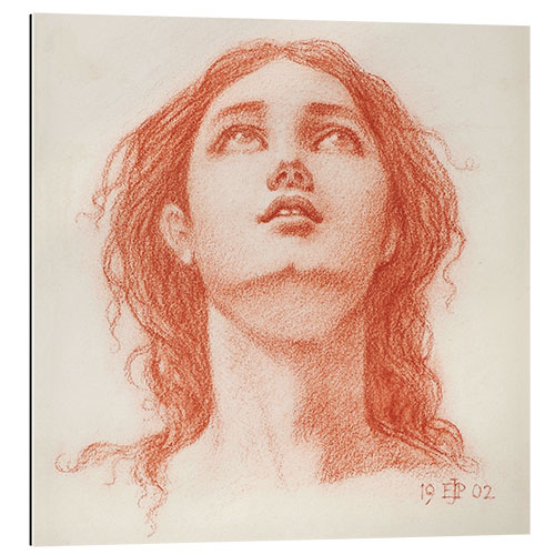 Gallery print Head of a young woman