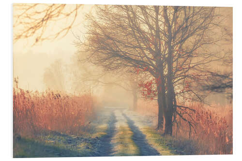 Foam board print Foggy morning